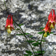 Image for article titled Shooting Challenge: HDR Gallery Part 3